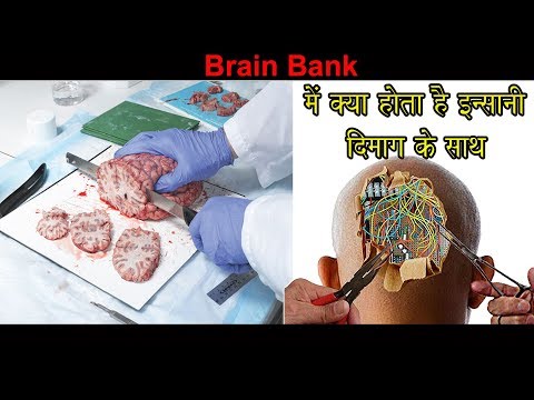 Human Brain Bank
