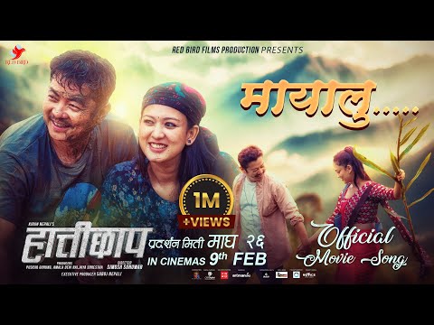 Mayalu - HATTICHHAP Movie Song || Dayahang Rai, Upasana Singh Thakuri || Pratap Das, Mamta Gurung