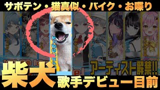 【ご報告】柴犬こむぎっす【歌手デビューに関して】
