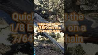 daisy chain with EVO loops