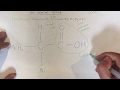 Biological Molecules and Their Functions