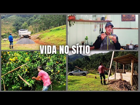 VIDA NO SÍTIO