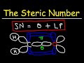 Hybridization and Steric Number Concepts