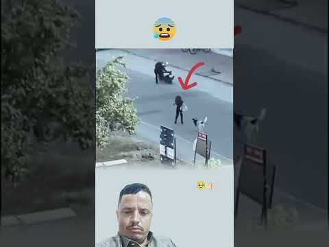 تهداه من غضب الكلاب ليس صعبآ#حيوانات--#shortsfeed #funny #explore #short #youtubeshorts