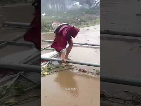 Bão số 10 thổi bay băng ghế đá #tintuc #bão
