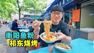 湖南衡阳鲜辣鱼粉，老字号臭豆腐，祁东特色烤牛尾，阿星吃槟榔芋Street Snacks and BBQ in Hengyang, Hunan