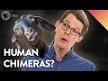 Chimerism and Mosaicism Concepts