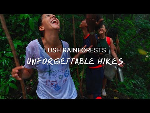 We Dare You To Adventure Further In Panamá