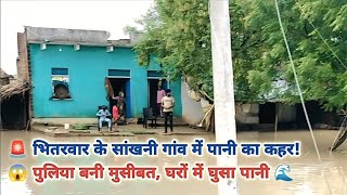 🚨 भितरवार के सांखनी गांव में पानी का कहर! 😱 पुलिया बनी मुसीबत, घरों में घुसा पानी 🌊