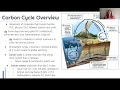 Carbon Cycle and Atmospheric Changes