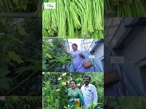மொட்டை மாடி தோட்டத்தில் எனக்கு ரொம்ப பிடிச்ச காராமணி | Anitha Pushpavanam Kuppusamy Terrace Garden