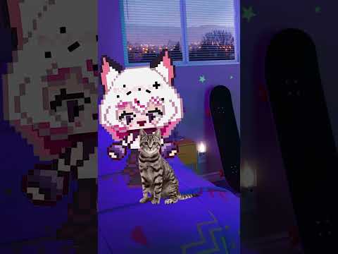 ✨أنا كل م بشوف قطتي ✨