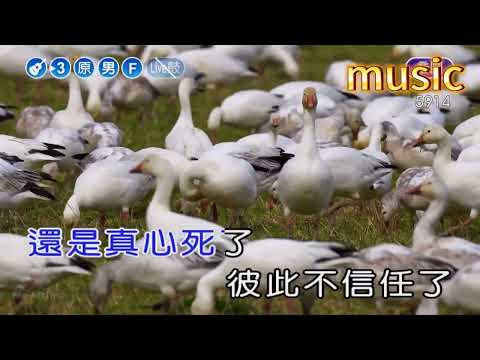 很想說~李聖傑KTV 伴奏 no vocal 無人聲 music 純音樂 karaoke 卡拉OK 伴唱很想說~李聖傑