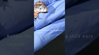 #SHORTS: Assault of ex-girlfriend puts Hampton, SC, man in prison