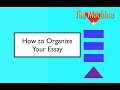 Essay Structure and Organization Concepts