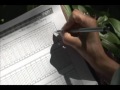 Plant Responses to Climate Change