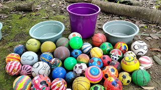 Wowww... Ayo Kita Cari Bola Bola !!!