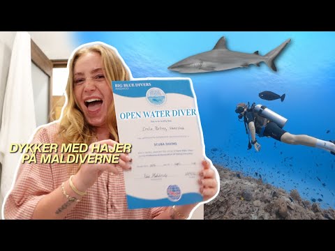 TAGER DYKKERCERTIFIKAT PÅ MALDIVERNE *vlog*