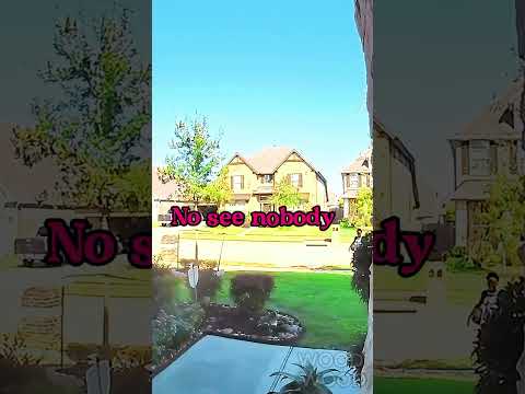 This beautiful moment was captured by the doorbell camera