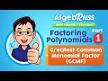 Factoring Polynomials: Overview and GCMF Insights