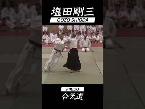 合気道 塩田剛三 vol.1 AIKIDO GOZO SHIODA 達人の技 #shorts