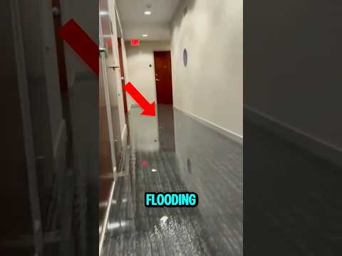 She Opened the Door and Couldn’t Believe What She Saw… 😱🚪💧