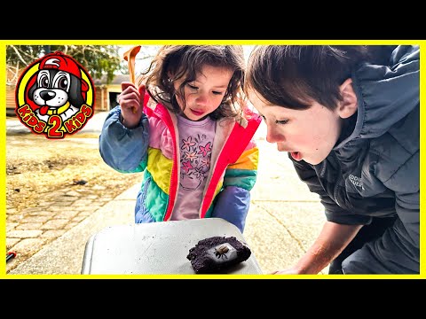 Kids Pretend 🐞 CALEB & CHARLENE’S BIGGEST FROZEN BUG HUNT