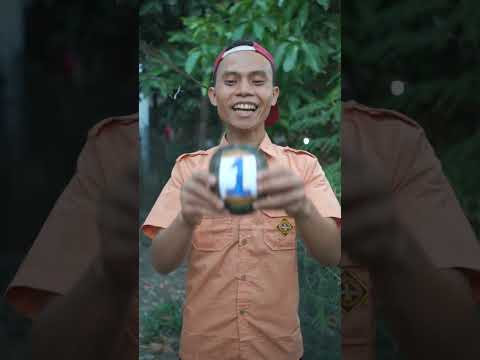kura kura adik lagi tidur