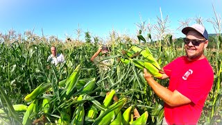 The SECRET side of vegetable farming