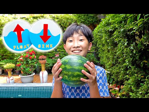 Float or Sink Water Play for Kids Toys Experiments