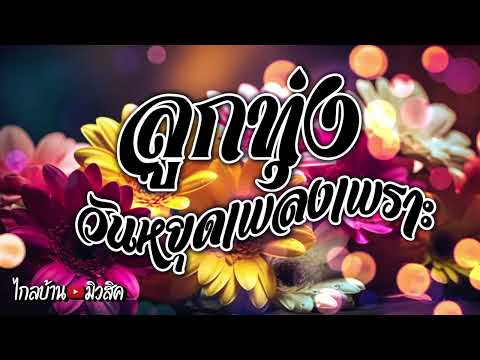 ลูกทุ่งวันหยุดเพลงเพราะ ฟังเพลินๆๆ