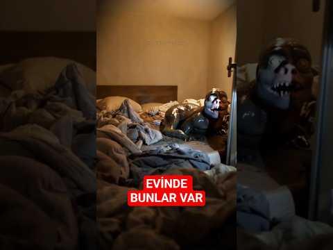 İnsanların Evlerinde Bulunan 5 İnanılmaz Hayvan
