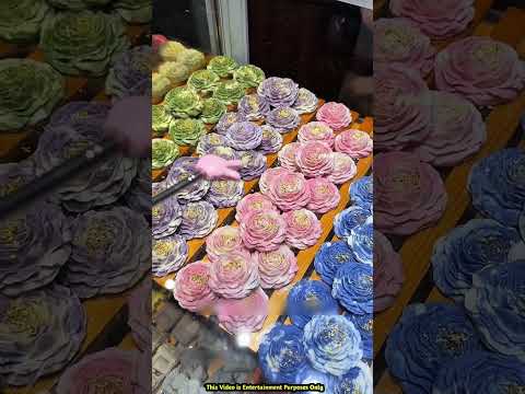 She Got Angry, Pack Faster! 😅🎂