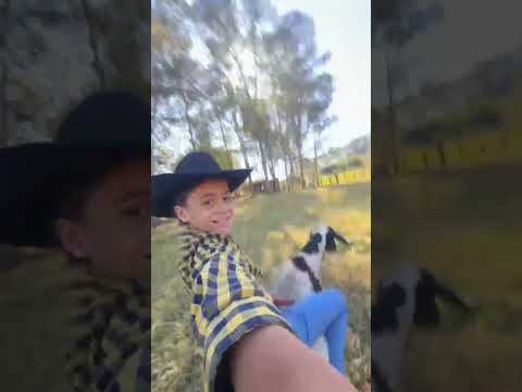 Entrei na trend kkkkkk