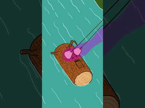 Nigel and Marmalade go fishing with Patricia