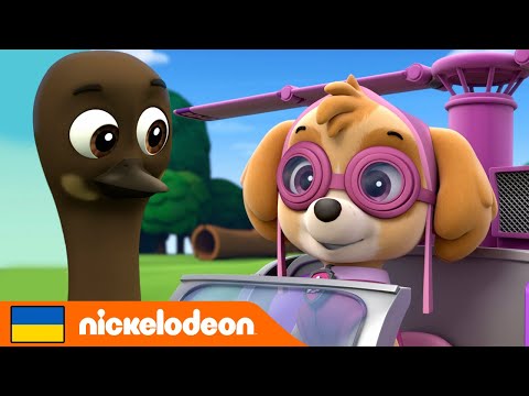 Щенячий патруль | Новий пухнастий друг Маршала!  | Nickelodeon Cyrillic