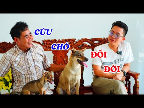 Người đàn ông cất được căn nhà khang trang nhờ cứu chú chó thông minh - ĐỘC LẠ BÌNH DƯƠNG