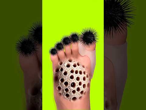 ASMR 2d relaxing sounds 🤯 ~ mini wood toy-wood working art skill / hand crafted / #shorts  00142