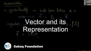 Vector and its Representation
