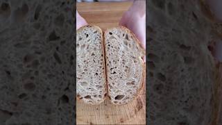 70% Hydration. Moderately Open Crumb.