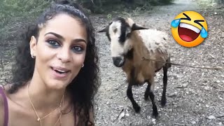 Best Funny Videos 😂 TRY NOT TO LAUGH 🤣 Memes, Fails, Pranks and Stunts #18