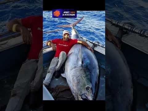 ЭТО СЛУЧАИ НЕРЕАЛЬНОГО ВЕЗЕНИЯ СНЯТЫЕ НА КАМЕРУ…