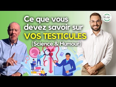 Ce que vous devez savoir sur vos testicules : Science et humour ! #famillessanteprevention