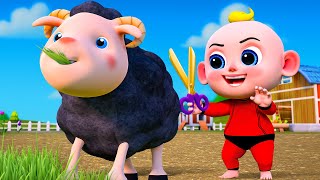 Baa Baa Black Sheep | Newborn Baby Songs & Nursery Rhymes | Animals for Kids