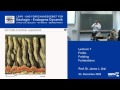 Geological Folds and Their Properties