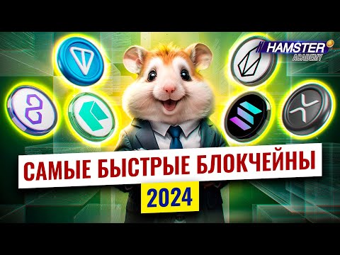 От Ripple до TON: топ-6 самых быстрых блокчейнов, бьющих рекорды ⚡️ Hamster Academy