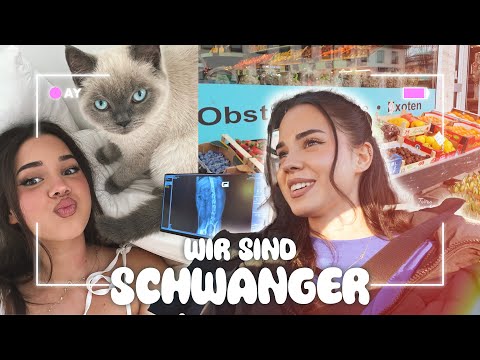 wir sind schwangerrr✨🐾 | unser laden, münchen, istanbul | ay