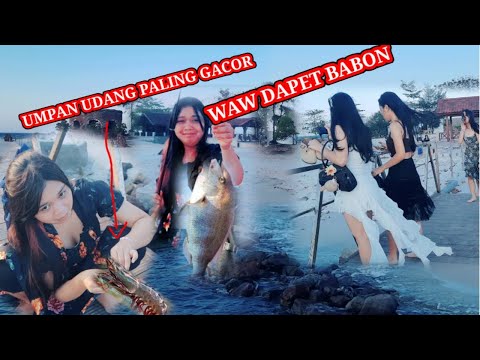 Mancing Di Pulau Kelor Kepulauan Seribu,Mancing Pasiran,Cewe mancing,Mancing Mania,Fishing