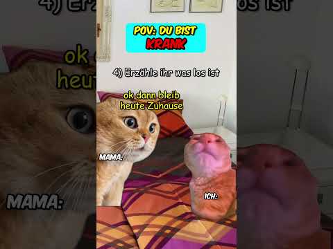 PoV: Du bist krank #katzenvideos #katze  #schule  #krank