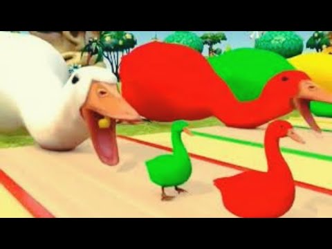Murottal surah pendek| bebek angsa|bebek lucu | kucing lucu | beruang anjing dan orang utan animasi